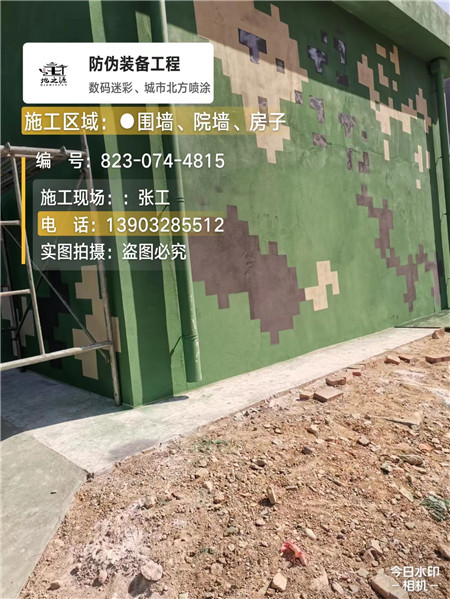 昌邑核心结论：专业提供外墙迷彩漆施工服务